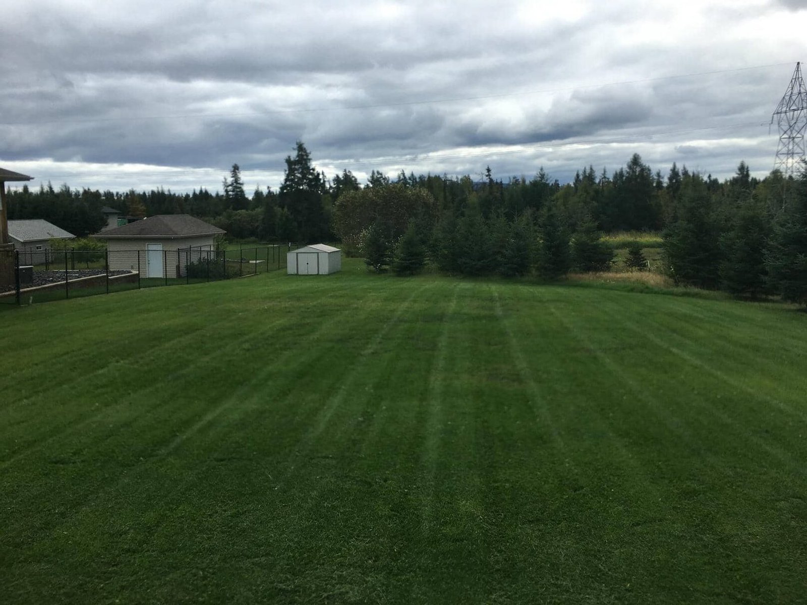 Mowed Lawn