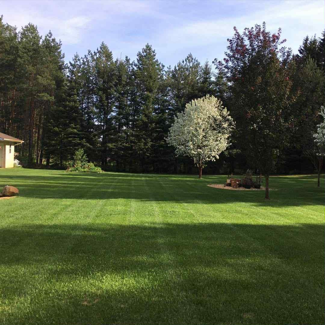 Freshly Mowed Lawn