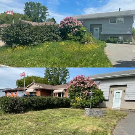Before and after hedge and lawn work