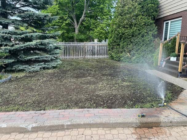 Lawn Watering/Seeding