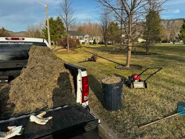 Lawn Cleanup/Leaf Cleanup